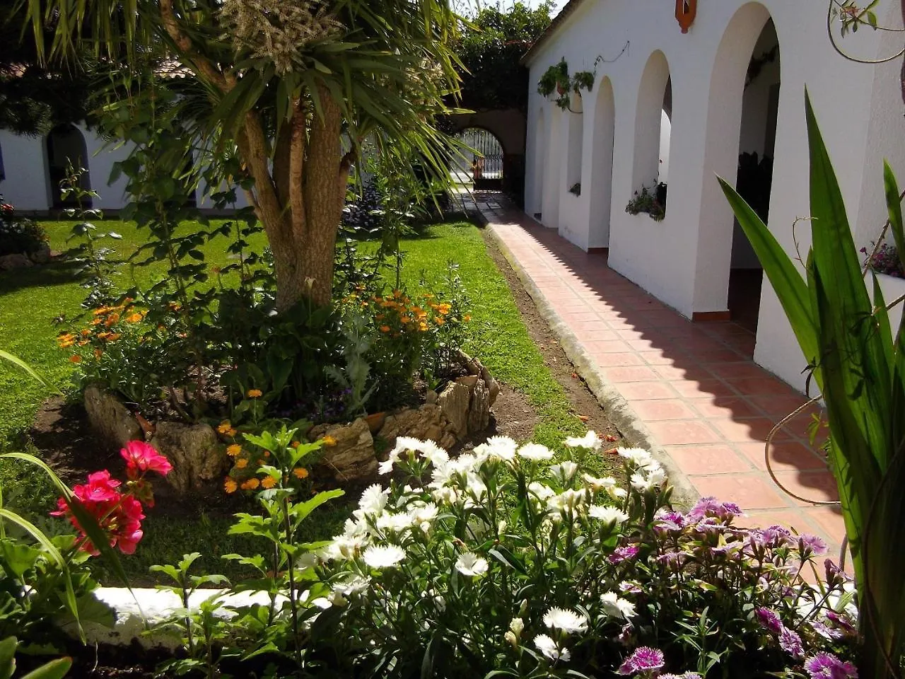 סהורה Hostal El Capi
